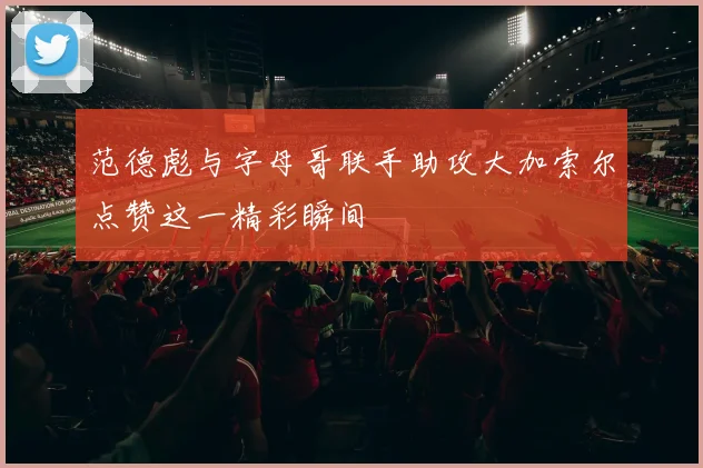范德彪与字母哥联手助攻大加索尔点赞这一精彩瞬间