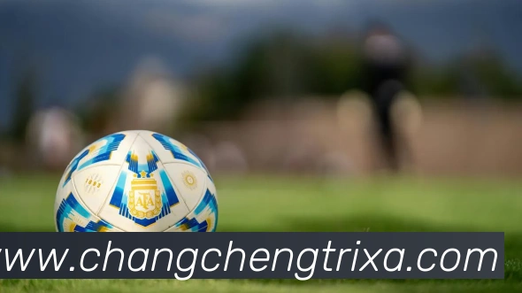 长城体育品牌故事