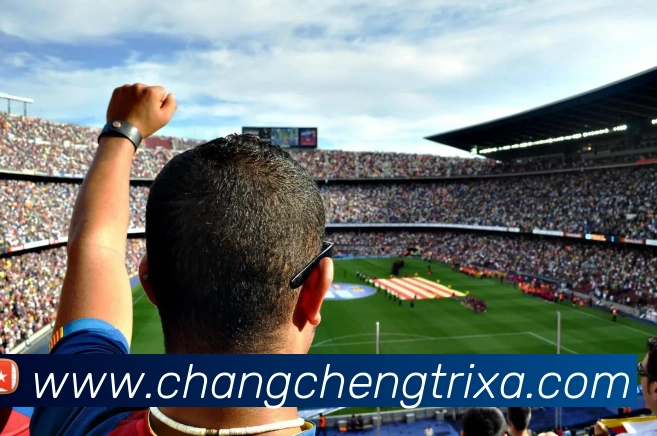 长城体育服务体系